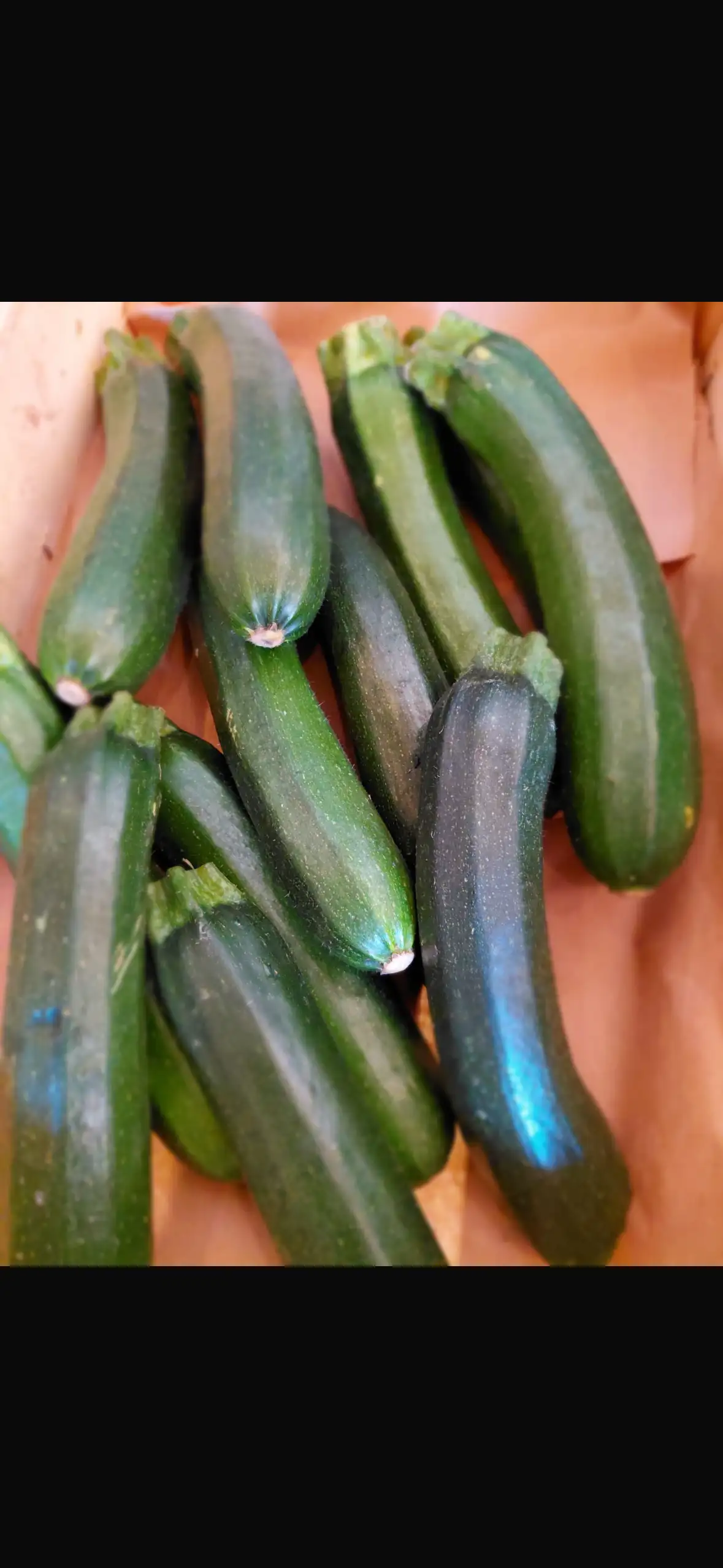courgette