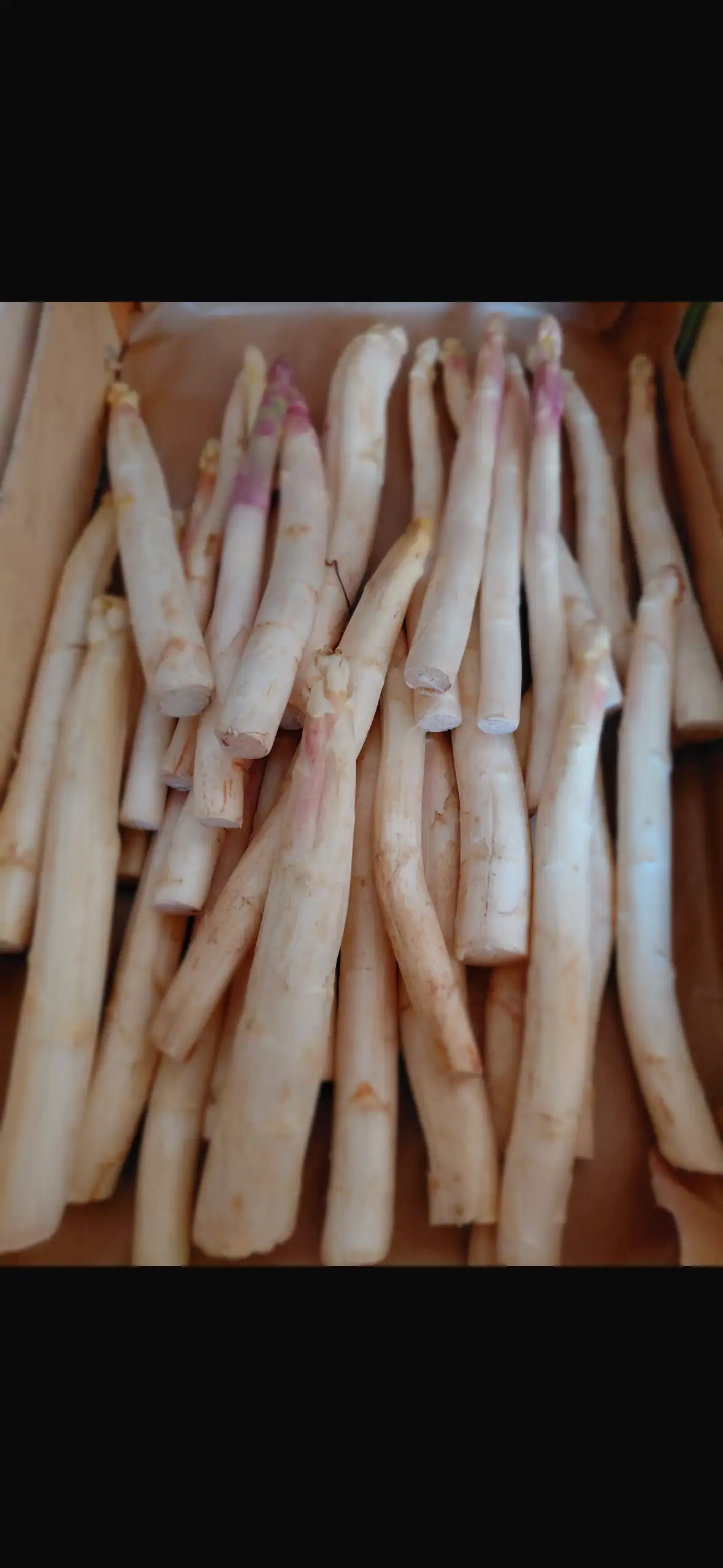 asperges